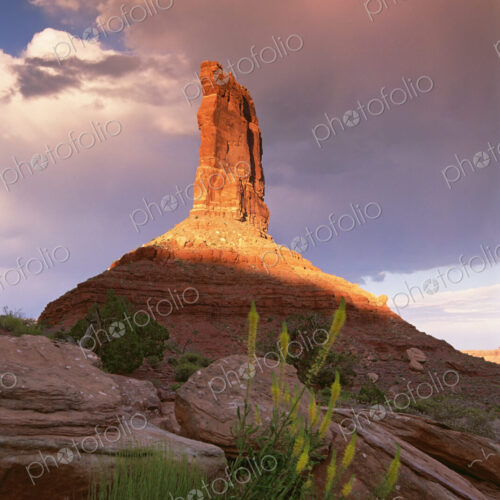 The Princess Plume rock pillar, eroded gritstone pillar on the top of a rise, in the… The Princess Plume rock pillar, eroded gritstone pillar on the top of a rise, in the…