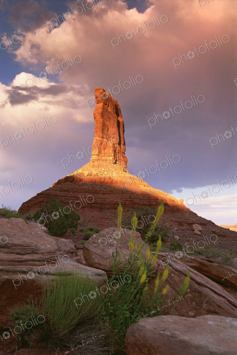 The Princess Plume rock pillar, eroded gritstone pillar on the top of a rise, in the…