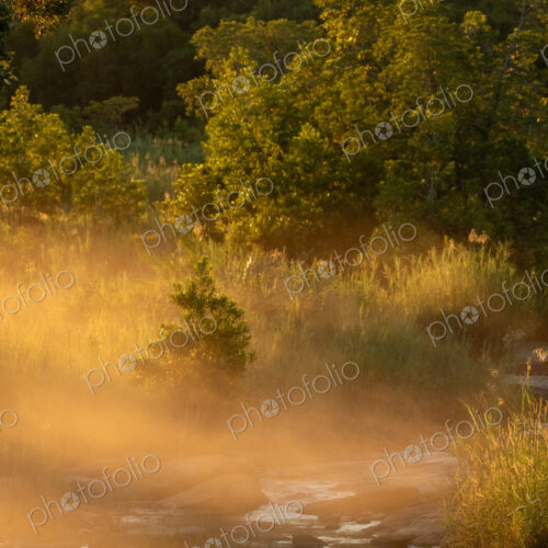 The Sand River, mist, morning light. The Sand River, mist, morning light.
