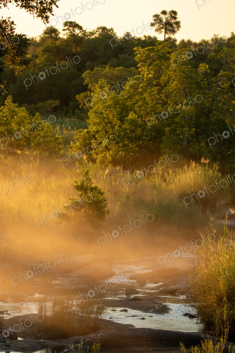 The Sand River, mist, morning light.