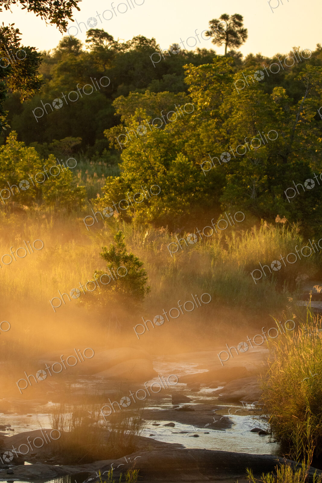 The Sand River, mist, morning light.