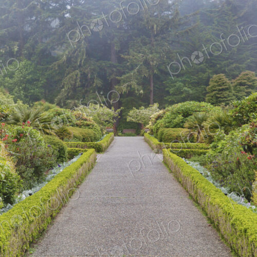 The Shore Acres State Park botanical gardens, an Oregon State Park at Cape Arago on… The Shore Acres State Park botanical gardens, an Oregon State Park at Cape Arago on…