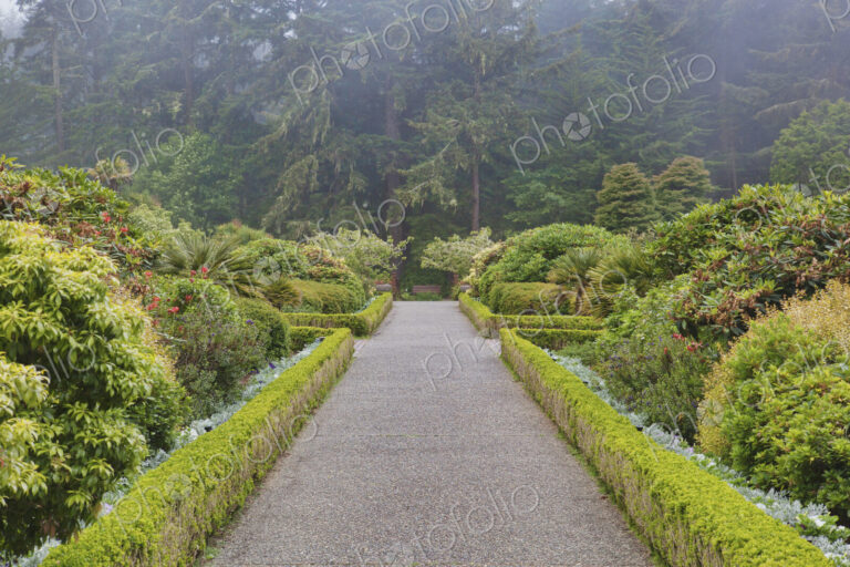 The Shore Acres State Park botanical gardens, an Oregon State Park at Cape Arago on…