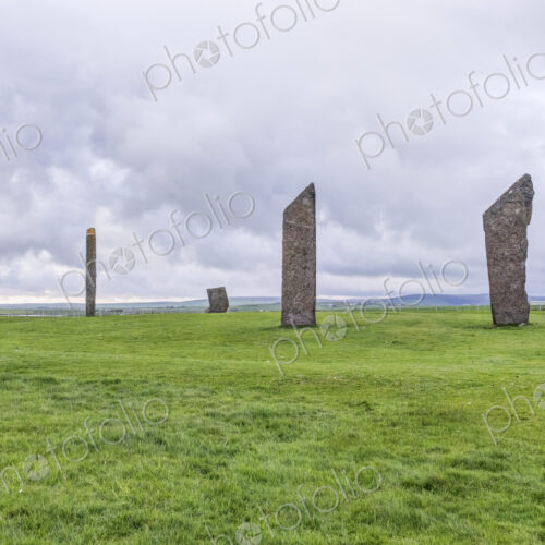 The Stones of Stenness in highland landscape, with a sheep in foreground. The Stones of Stenness in highland landscape, with a sheep in foreground.