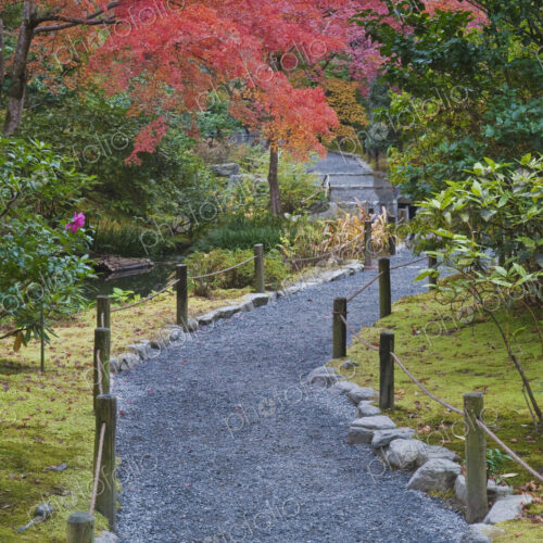 The Tenruyuji temple is a Zen Buddhist temple in a garden in the hills of Arashiyama,…