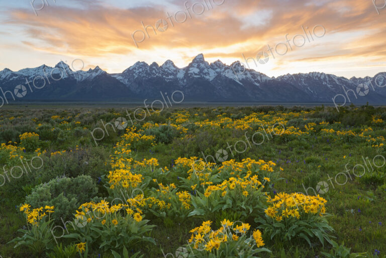 The Teton mountain range in the Grand Teton national park at sunset.