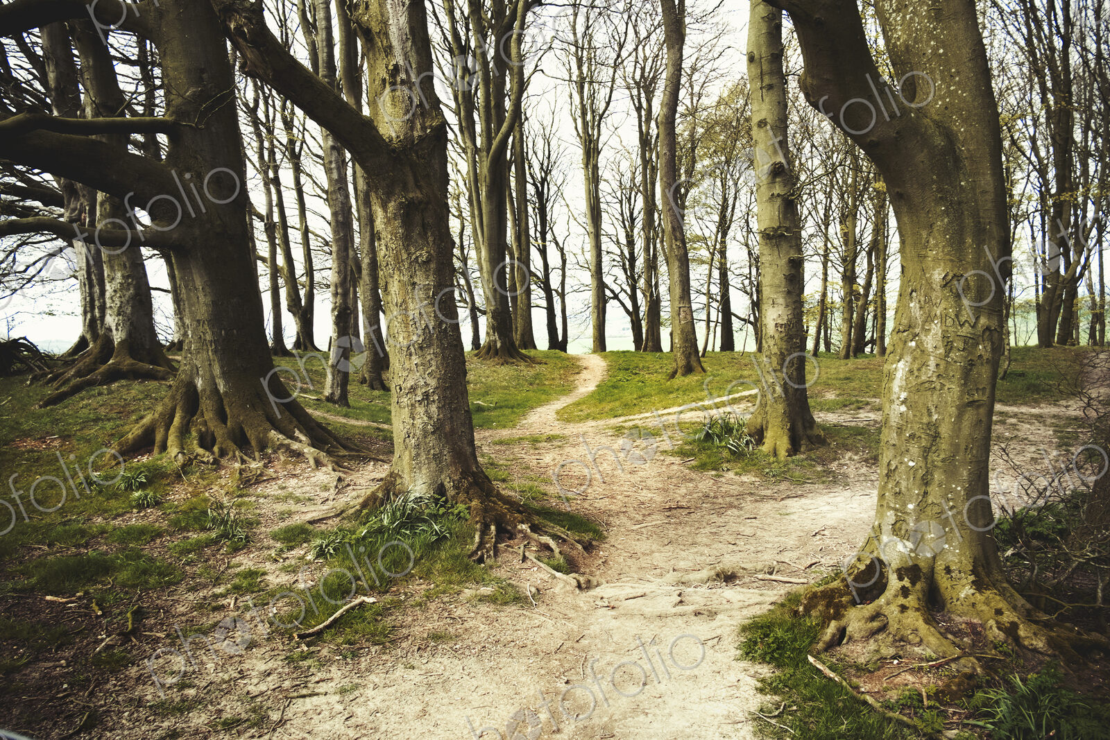The ancient Ridgeway path through the county of Berkshire passing through a small…