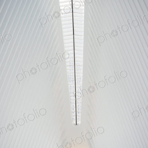 The central spine and roof structure of a modern building with a high arched ceiling. The central spine and roof structure of a modern building with a high arched ceiling.