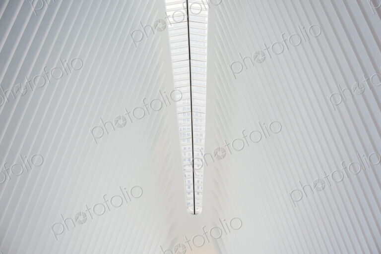 The central spine and roof structure of a modern building with a high arched ceiling.
