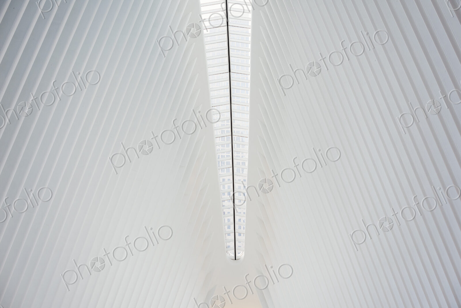 The central spine and roof structure of a modern building with a high arched ceiling.