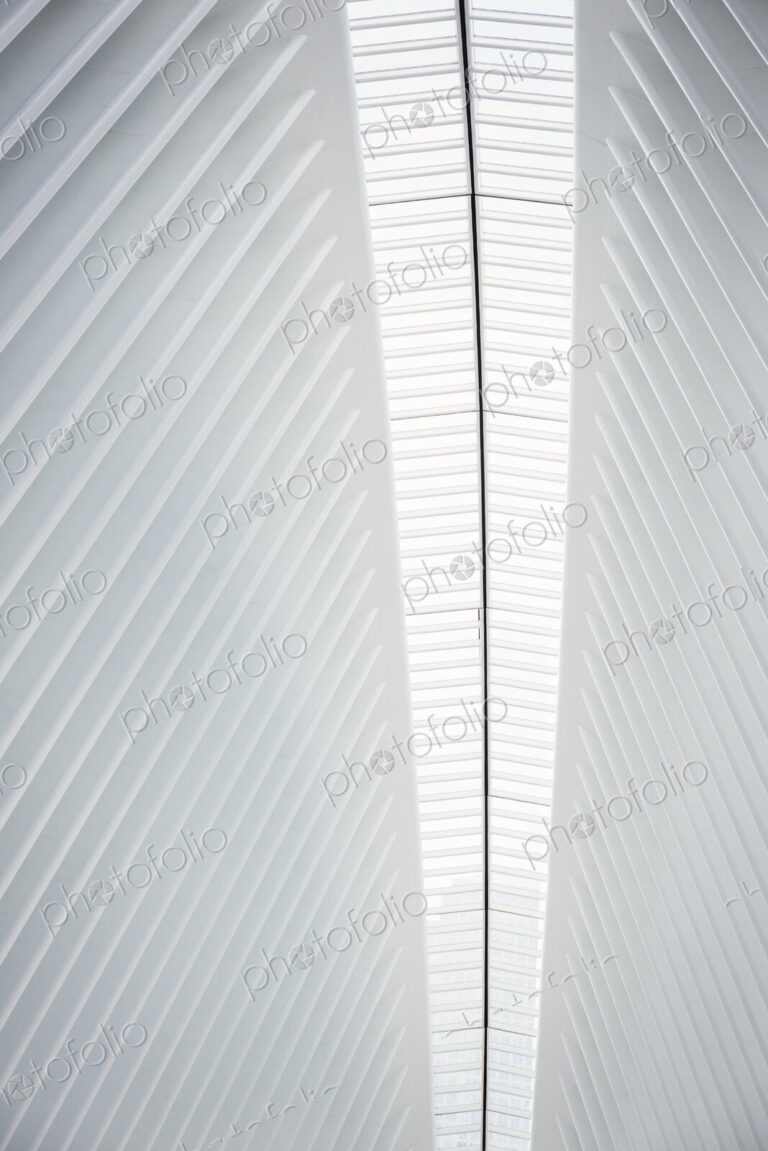 The central spine of an atrium roof and ridges in the roofline in a modern building.