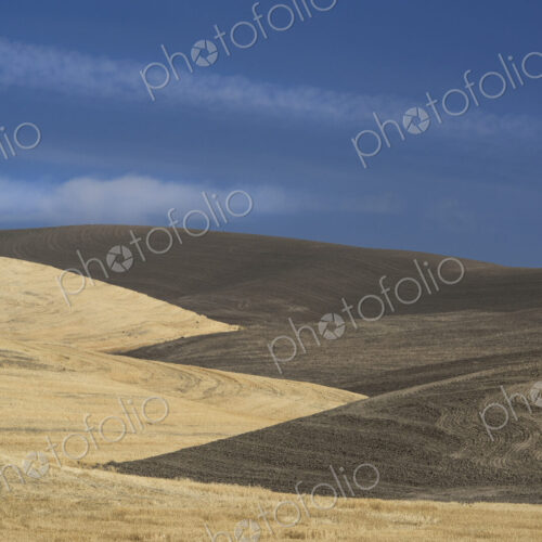 The contours of farmed land in Palouse county, Washington State, USA The contours of farmed land in Palouse county, Washington State, USA