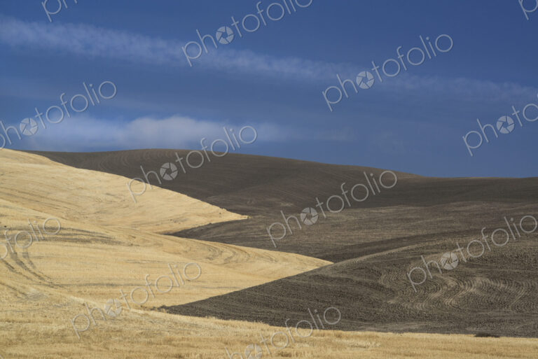The contours of farmed land in Palouse county, Washington State, USA