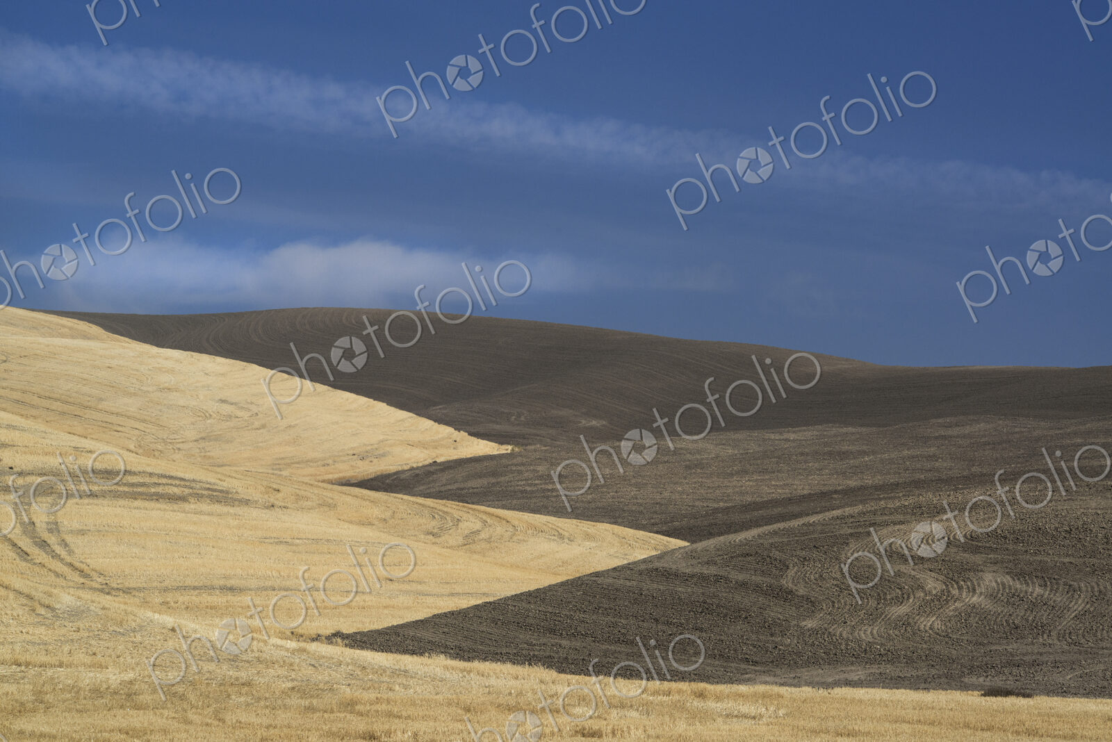 The contours of farmed land in Palouse county, Washington State, USA