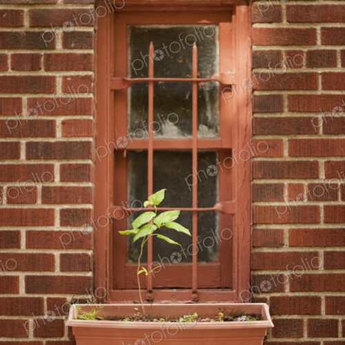 The exterior wall of a city apartment building in New York, a narrow window with a… The exterior wall of a city apartment building in New York, a narrow window with a…