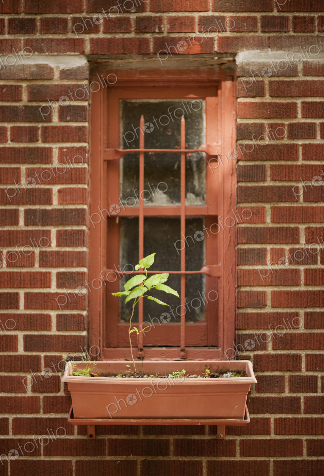 The exterior wall of a city apartment building in New York, a narrow window with a…