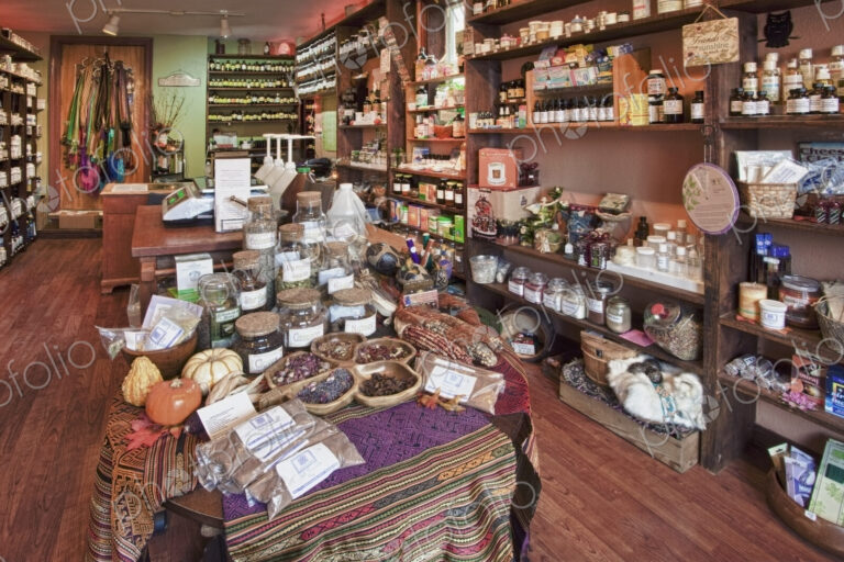 The interior of an apothecary shop, shelves and displays of jars containing plant and…