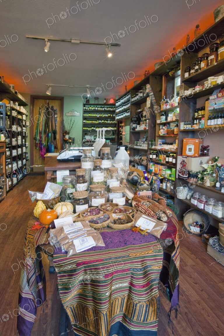 The interior of an apothecary shop, shelves and displays of jars containing plant and…