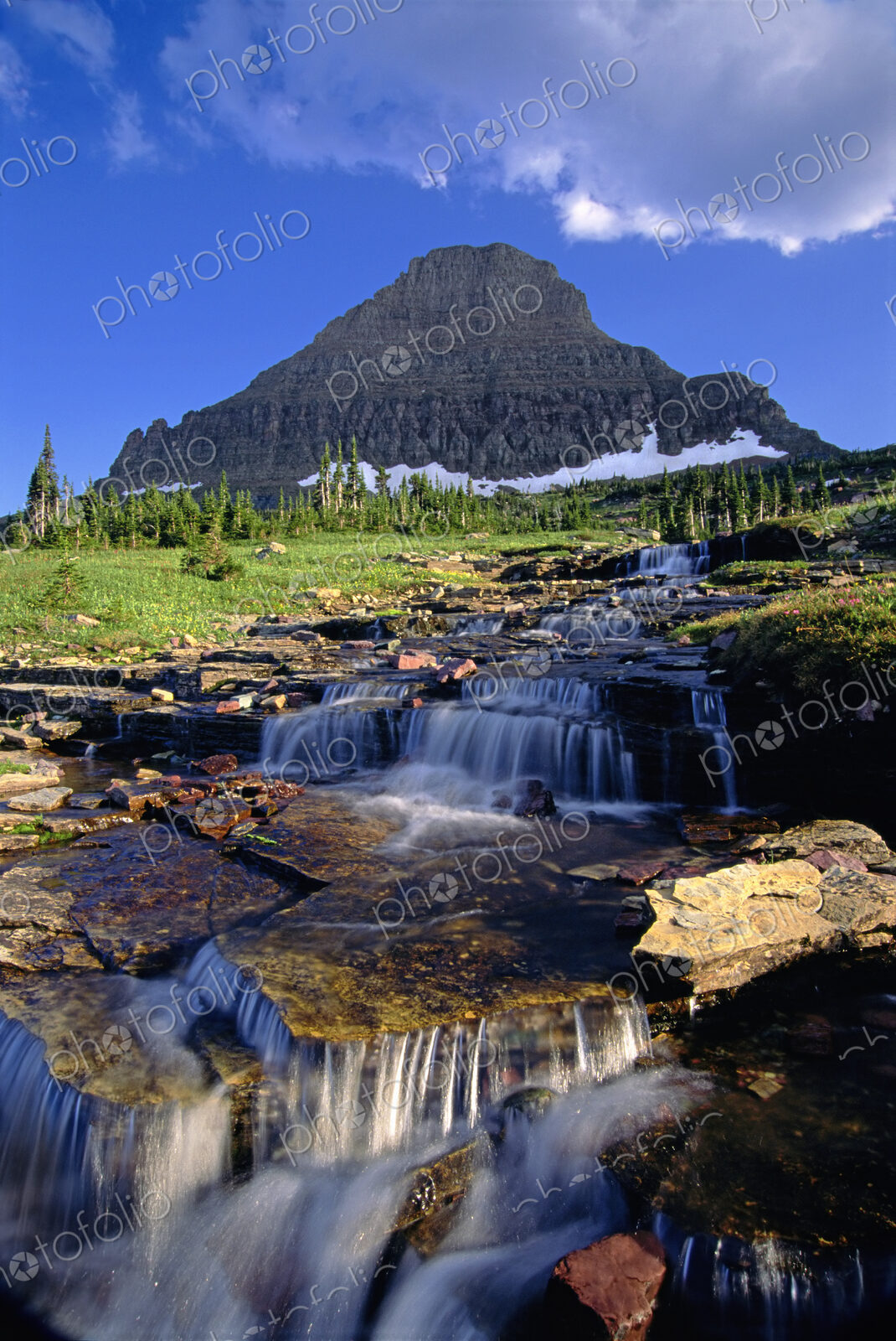 The landscape of Glacier National Park, to Mount Reynolds peak, and Logan Pass. Water…