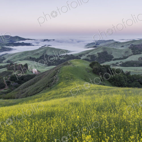 The landscape of the Napa Valley near Paso Robles, and the coastline, meadows of…