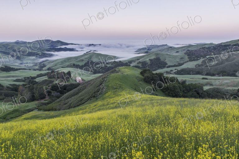 The landscape of the Napa Valley near Paso Robles, and the coastline, meadows of…