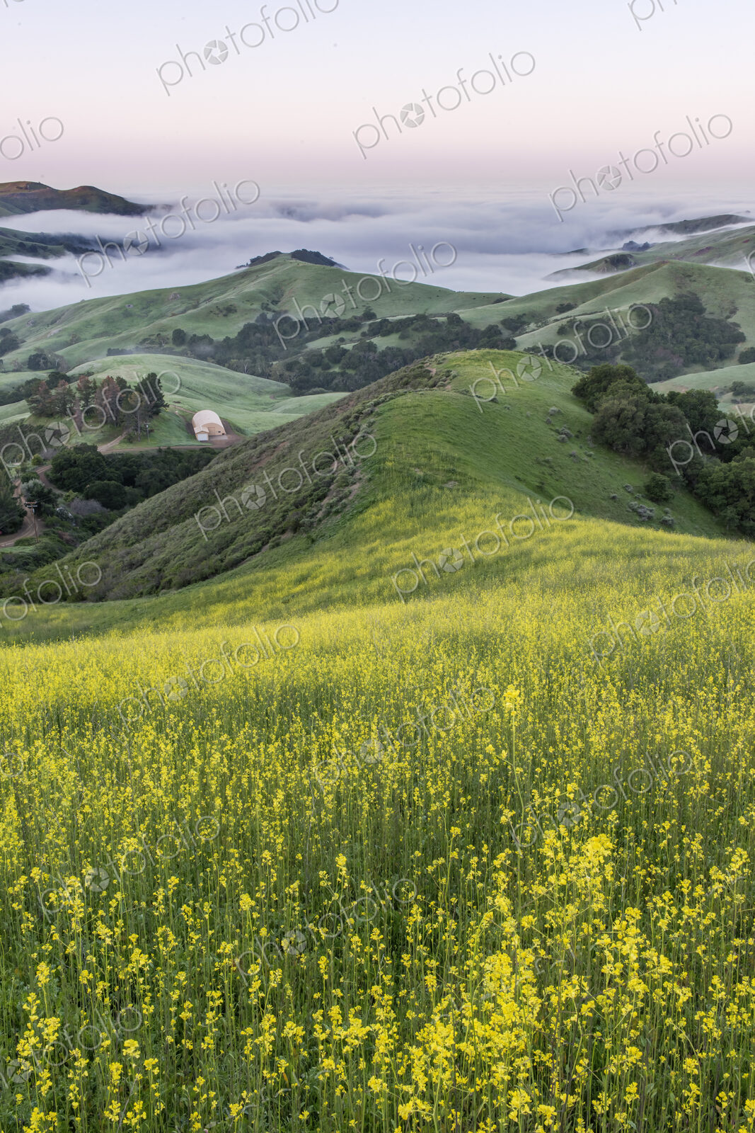 The landscape of the Napa Valley near Paso Robles, and the coastline, meadows of…