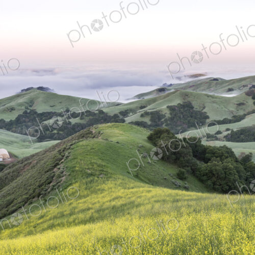 The landscape of the Napa Valley near Paso Robles, and the coastline, meadows of… The landscape of the Napa Valley near Paso Robles, and the coastline, meadows of…