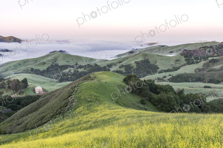 The landscape of the Napa Valley near Paso Robles, and the coastline, meadows of…