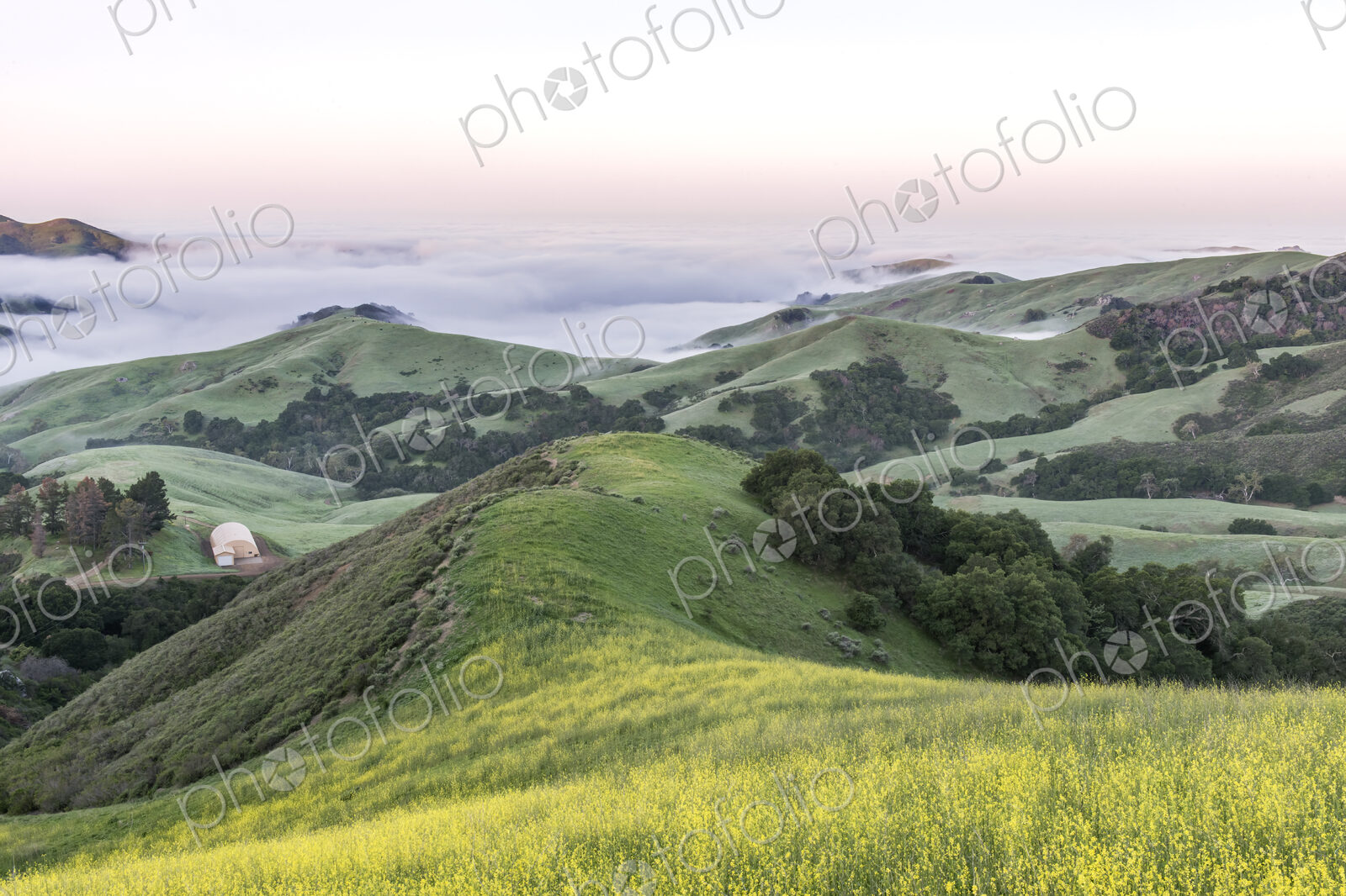 The landscape of the Napa Valley near Paso Robles, and the coastline, meadows of…