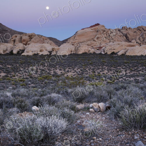The moon rising over the mountains in Red Rock Canyon in Nevada. The moon rising over the mountains in Red Rock Canyon in Nevada.