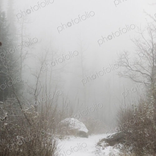 The mountains in winter, a snowy path through the trees. The mountains in winter, a snowy path through the trees.