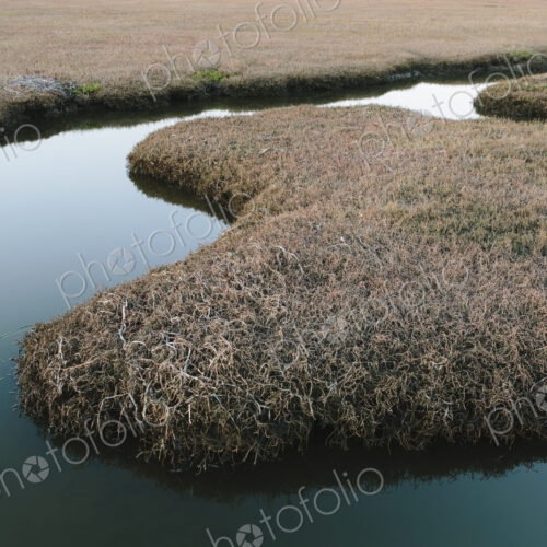 The open spaces of marshland and water channels. Flat calm water.