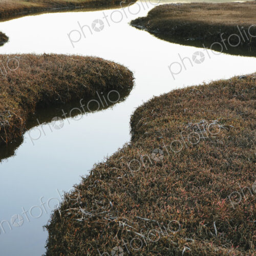 The open spaces of marshland and water channels. Flat calm water.