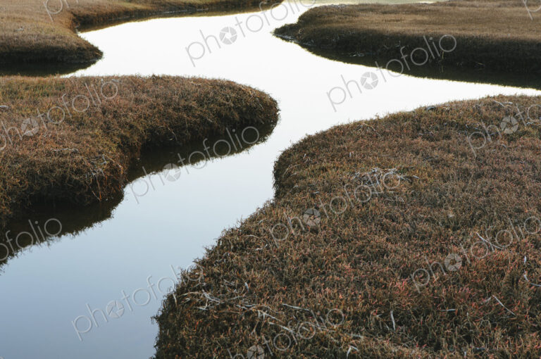 The open spaces of marshland and water channels. Flat calm water.