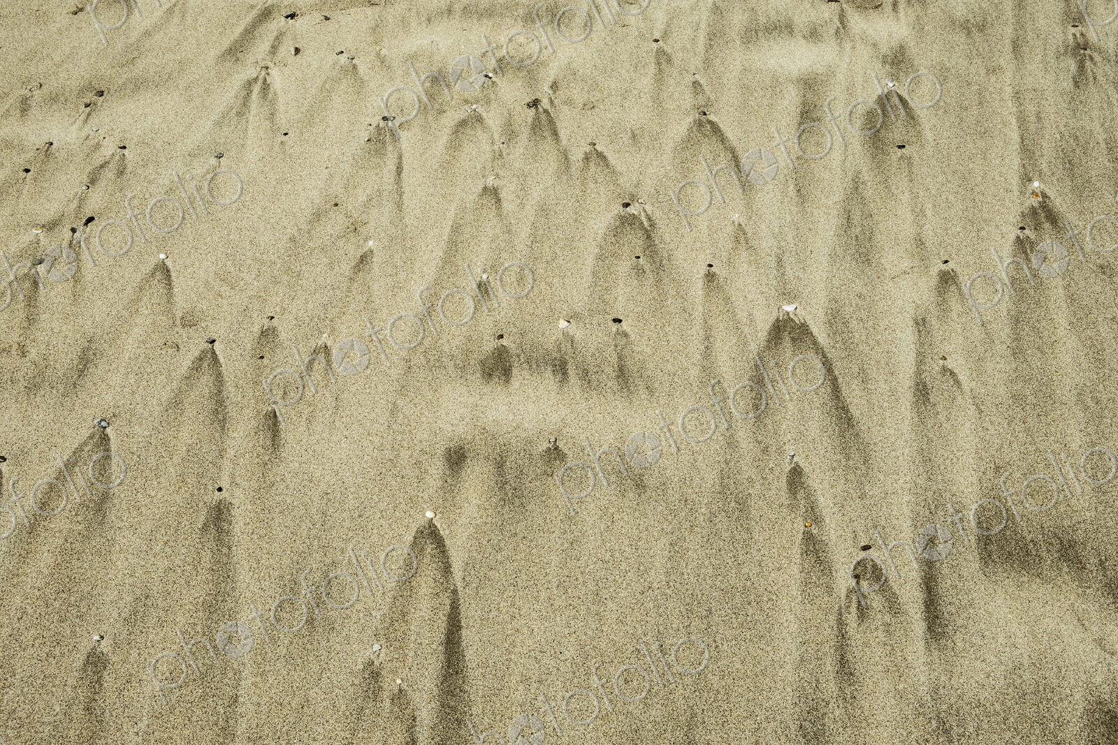 The patterns made by the retreat of tidal water on a sandy beach and small air holes.