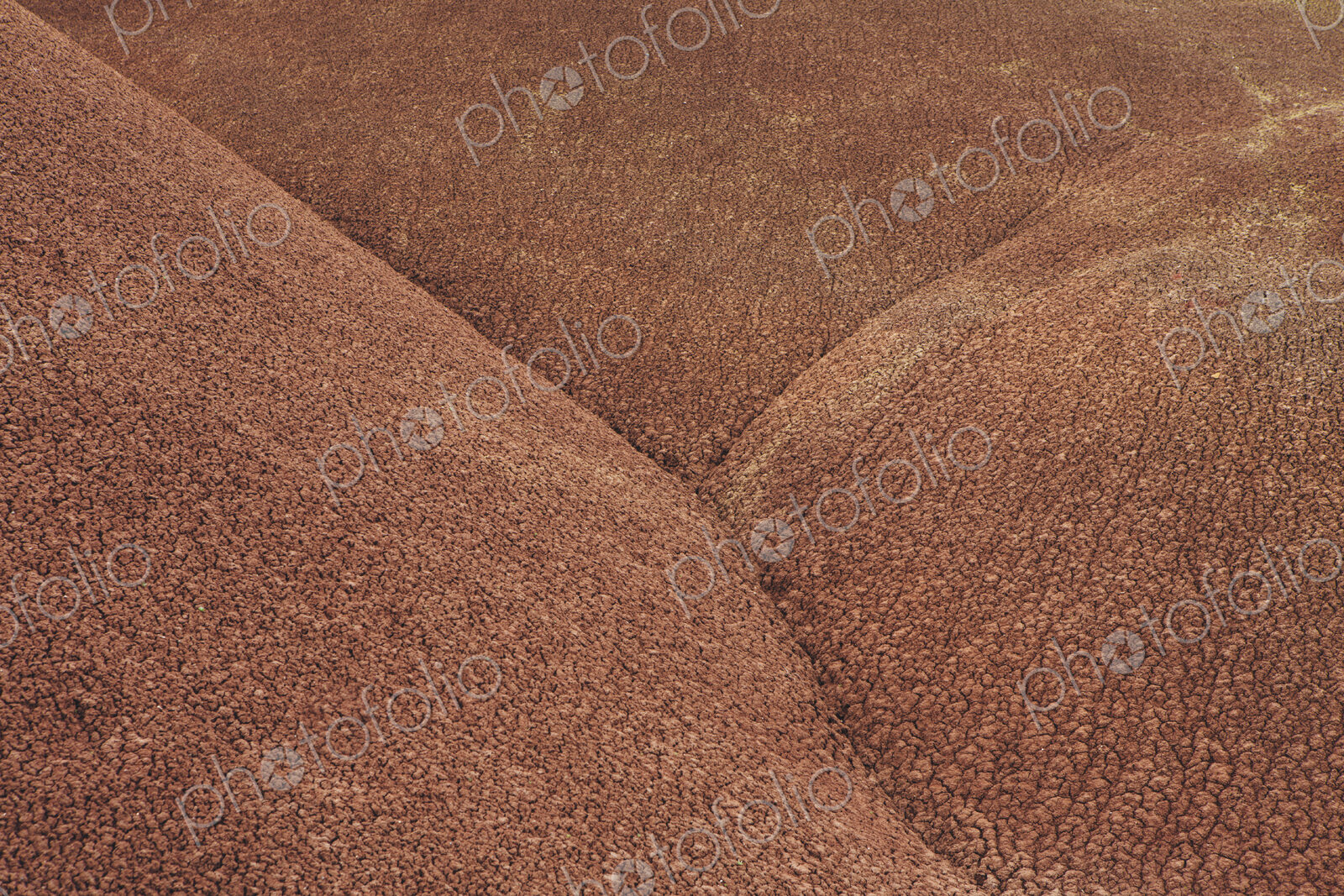The red rocks of the Painted Desert landscape in the John Day Fossil Beds National…