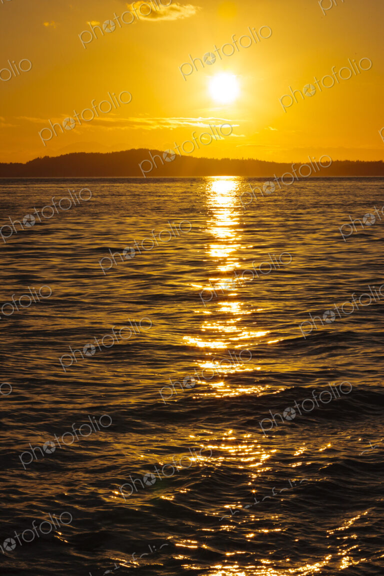 The reflections of sunshine on the surface of moving water.