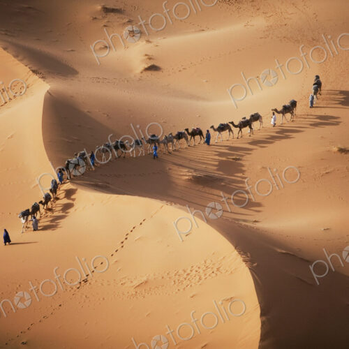 The setting sun over the desert makes a enchanting shadow as a caravan of camel… The setting sun over the desert makes a enchanting shadow as a caravan of camel…