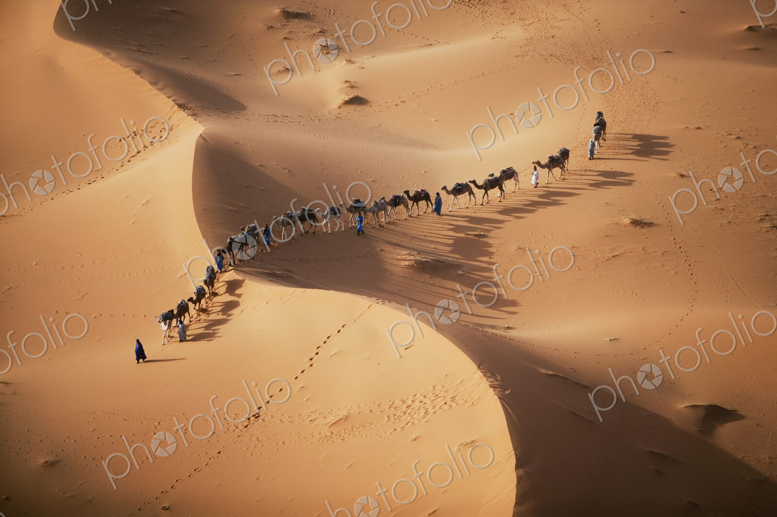 The setting sun over the desert makes a enchanting shadow as a caravan of camel…
