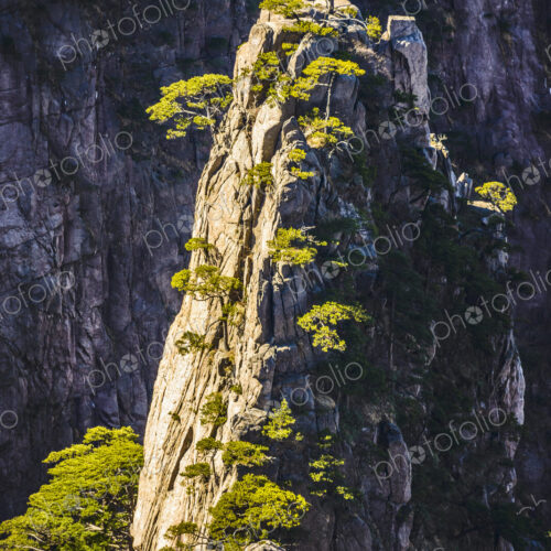 The steep jagged granite peaks of the Huangshan Mountains, the Yellow Mountains. The steep jagged granite peaks of the Huangshan Mountains, the Yellow Mountains.