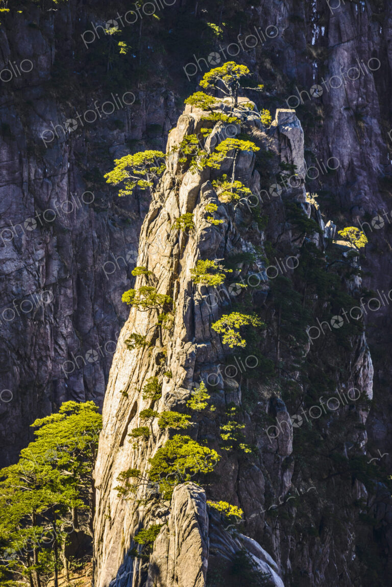 The steep jagged granite peaks of the Huangshan Mountains, the Yellow Mountains.