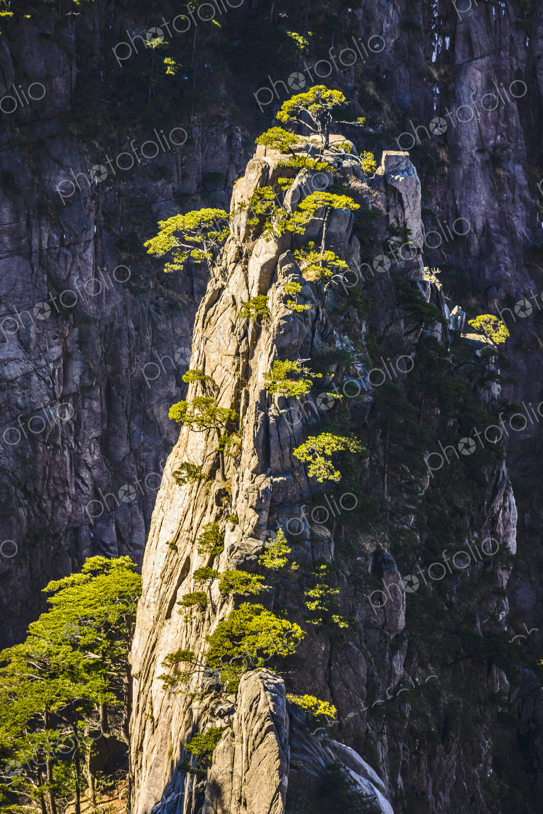The steep jagged granite peaks of the Huangshan Mountains, the Yellow Mountains.