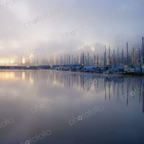 The view from Stanley Park in the early morning with mist rising from the water,… The view from Stanley Park in the early morning with mist rising from the water,…