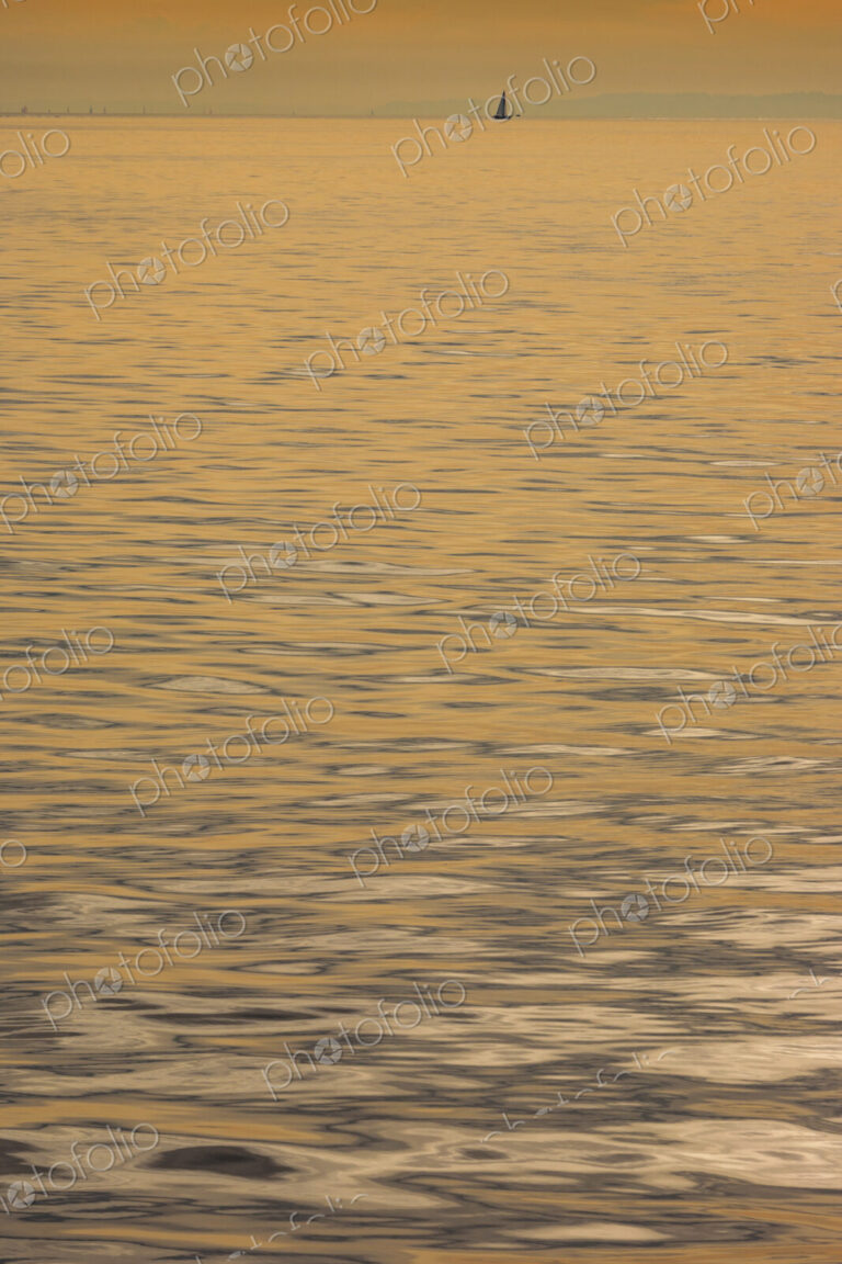The water surface, ripples and reflections and shadows at dusk.