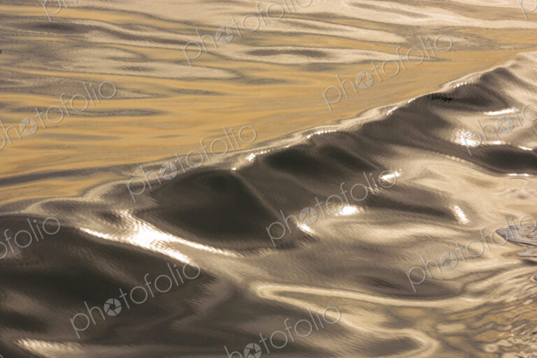 The water surface, ripples and reflections and shadows at dusk.