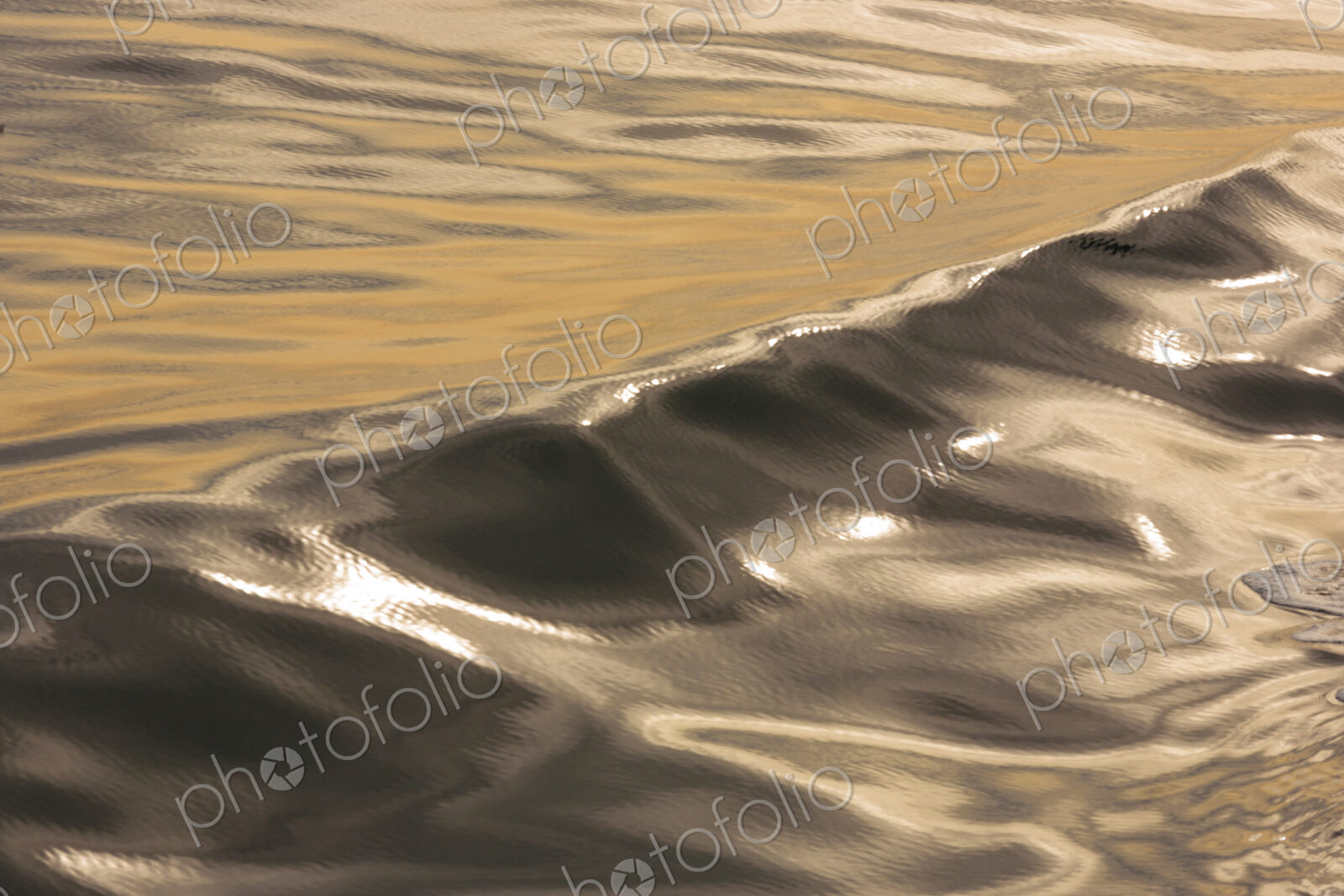 The water surface, ripples and reflections and shadows at dusk.