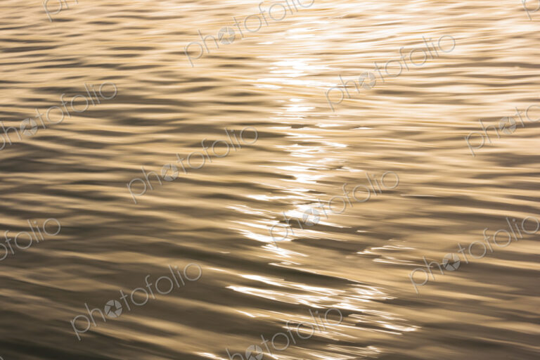 The water surface, ripples and reflections and shadows at dusk.