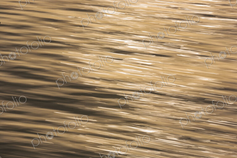 The water surface, ripples and reflections and shadows at dusk.