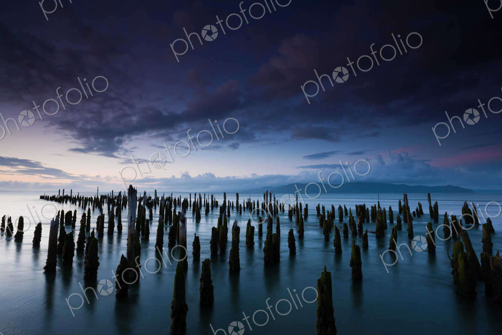 The weathered remains of wood pilings. Upright wooden stumps in water. Oregon, USA