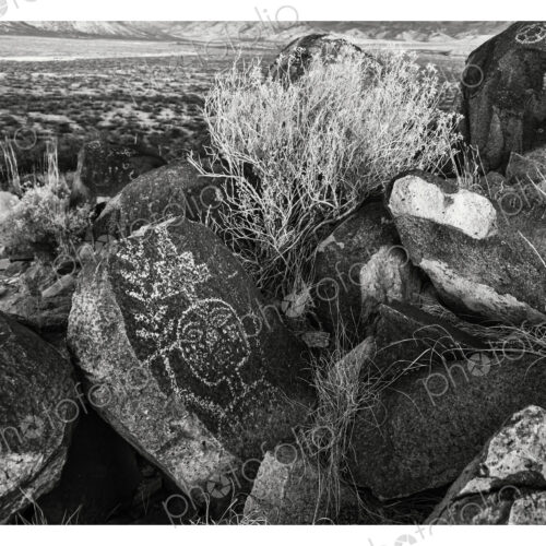 Three Rivers Petroglyph Site, Three Rivers, New Mexico, USA Three Rivers Petroglyph Site, Three Rivers, New Mexico, USA